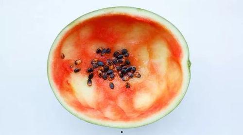 网红吃瓜大勺子图片高清,高清画面揭秘娱乐圈幕后真相