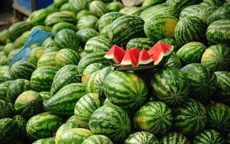 和县网红吃瓜事件真相揭秘,揭秘背后真相与争议