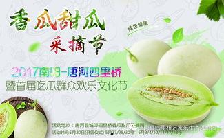 吃瓜网红全套,全套揭秘背后的真相与内幕