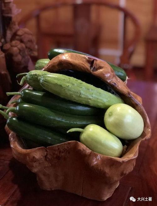 网红最新吃瓜视频大全,精彩瞬间不容错过