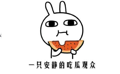 抖音最近吃瓜网红,揭秘娱乐圈最新热点事件