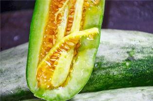 网红吃瓜网官网,揭秘娱乐圈幕后故事，带你领略网络红人生态