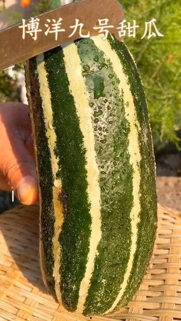 有没有吃瓜的网,吃瓜群众背后的故事