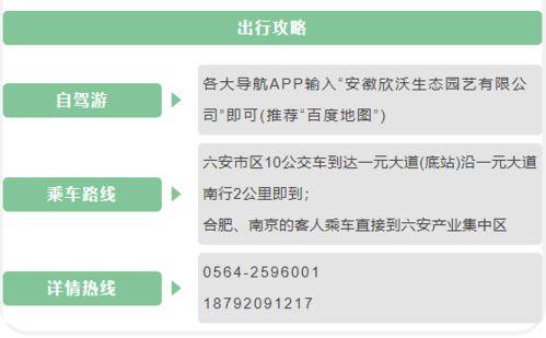 吃瓜网曝料官方网站,官方网站揭秘幕后真相