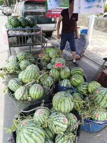 赣州网红吃瓜事件视频,揭秘网络舆论的风暴中心