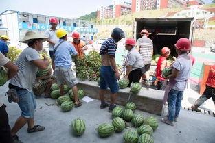 新华网吃瓜群众事件最新消息,最新进展揭秘