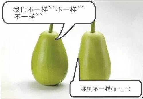 吃瓜网安装,带你领略网络舆论新风向