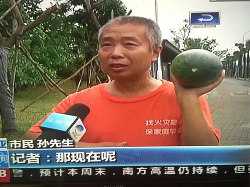 吃瓜网热门事件曹县,吃瓜网热议事件背后的真相与反思